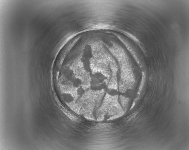 X0000055991423200509162240