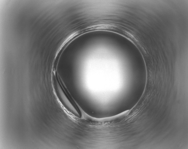 X0000055991426200509162240