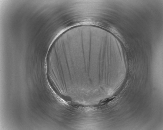 X0000055991428200509162240