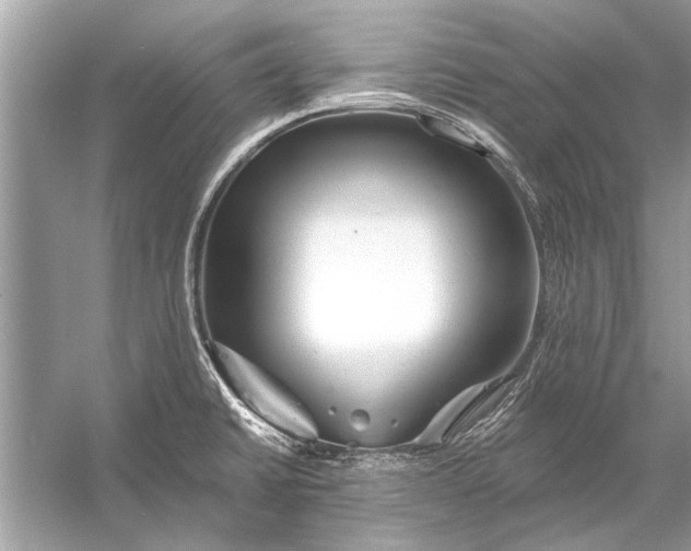 X0000055991430200509162240