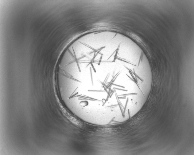 X0000055991431200509162240