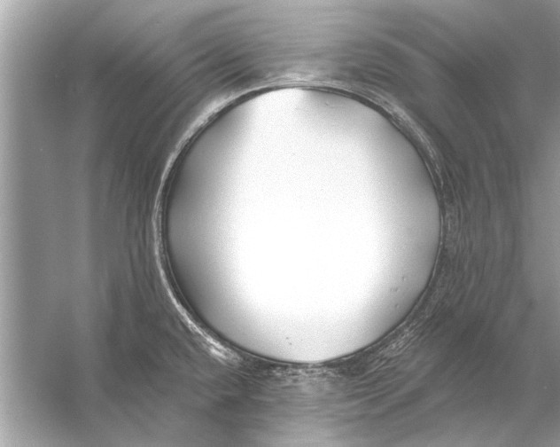 X0000055991432200509162240