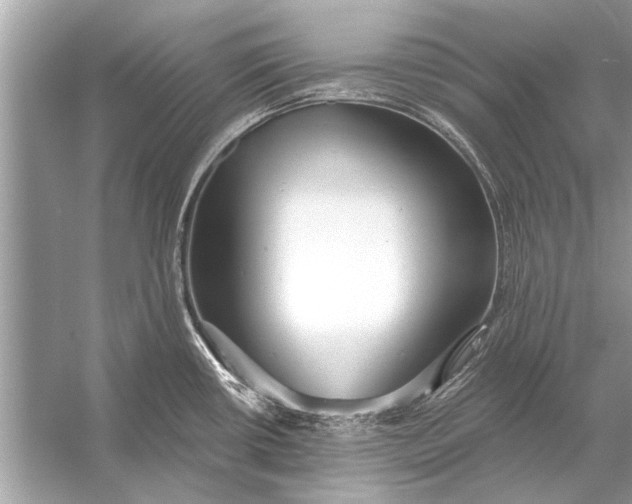 X0000055991434200509162240