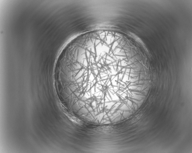 X0000055991435200509162240