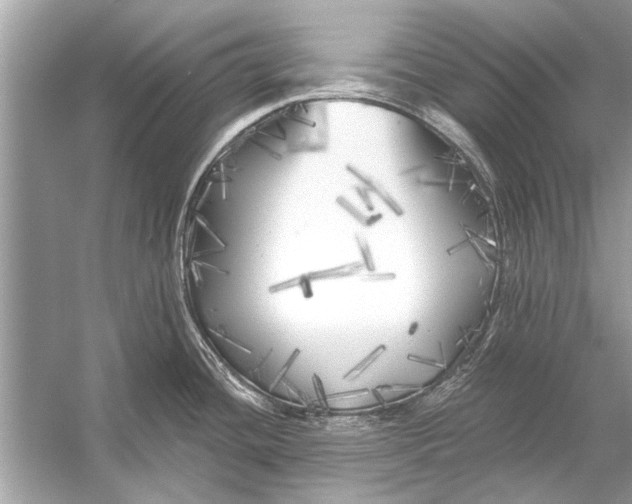 X0000055991436200509162240