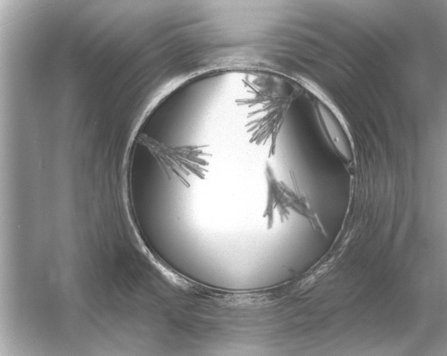 X0000055991437200509162240