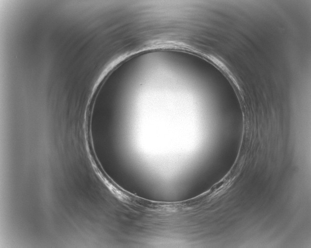 X0000055991438200509162240