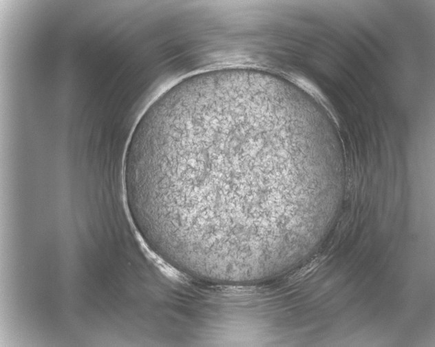 X0000055991439200509162240