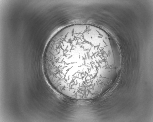 X0000055991440200509162240