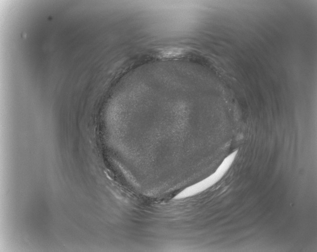 X0000055991441200509162239