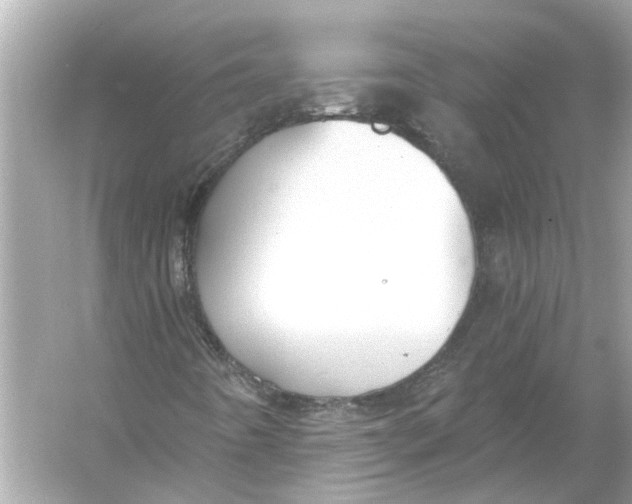 X0000055991442200509162239