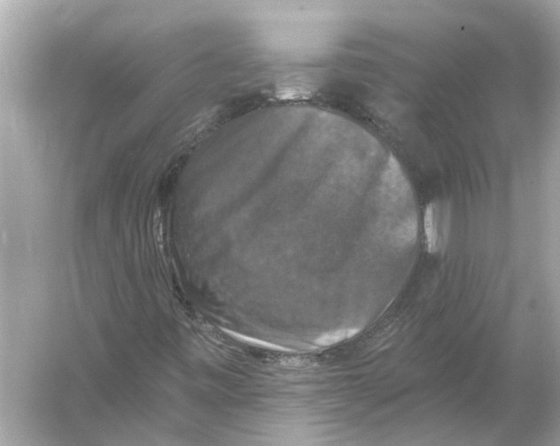 X0000055991443200509162239