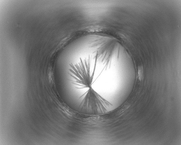 X0000055991444200509162239