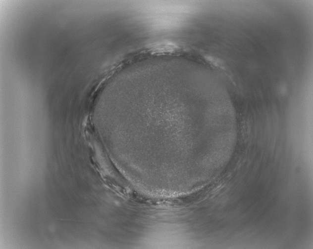 X0000055991445200509162239