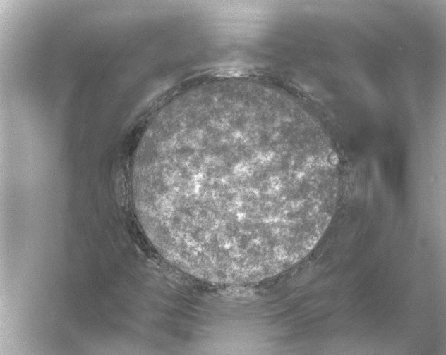 X0000055991446200509162239