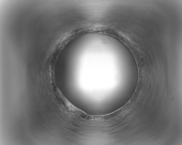 X0000055991447200509162239