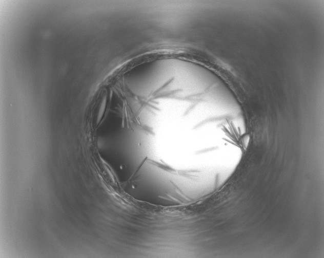 X0000055991448200509162239