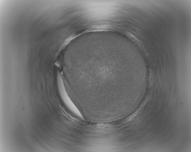 X0000055991449200509162239