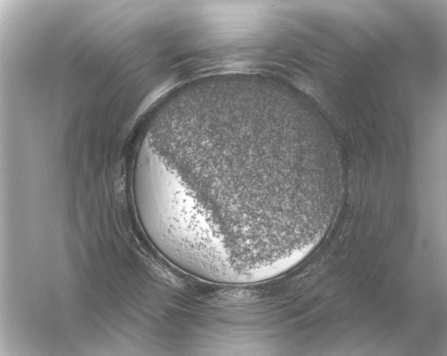 X0000055991450200509162239