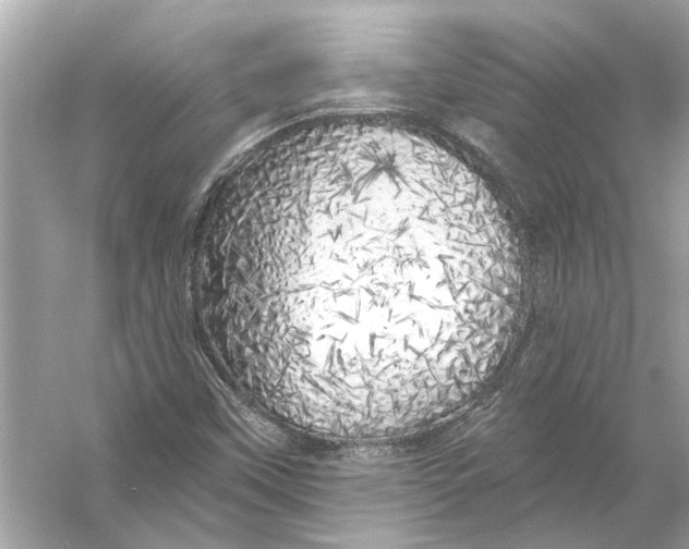 X0000055991451200509162239