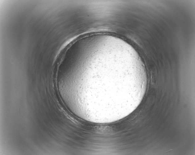 X0000055991452200509162239