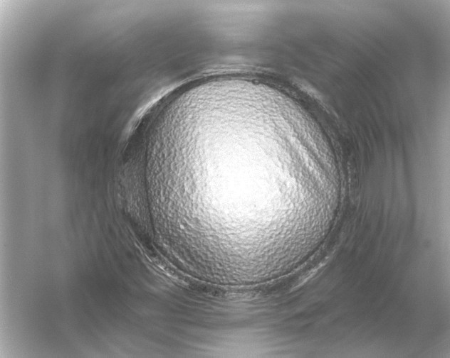 X0000055991453200509162239