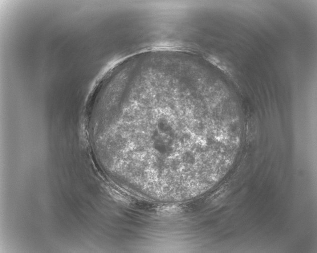 X0000055991454200509162239