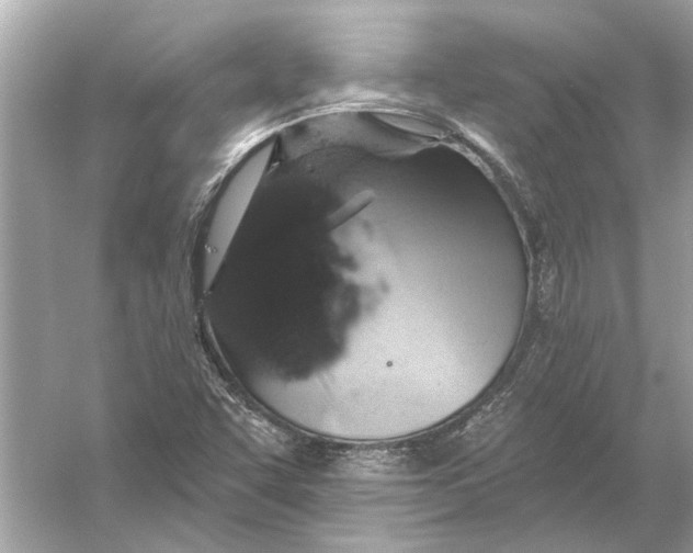 X0000055991455200509162239