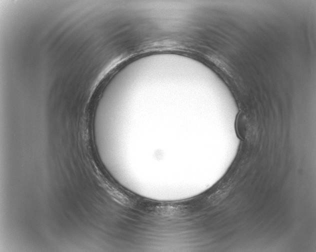 X0000055991458200509162239