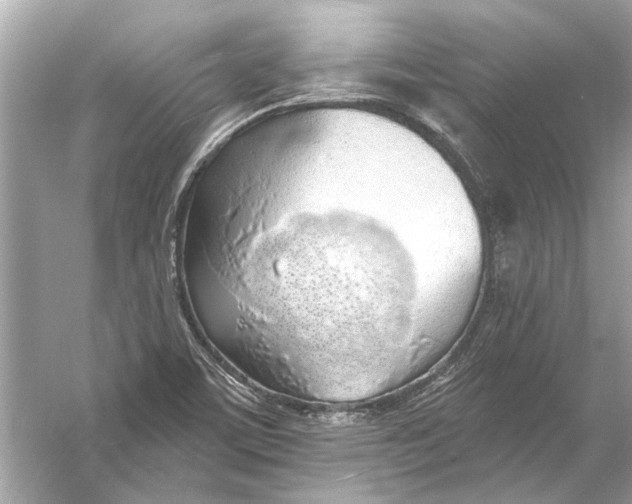 X0000055991459200509162239