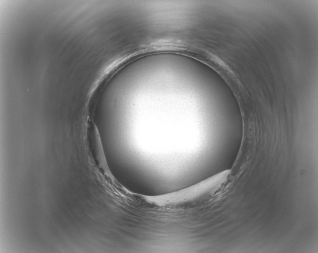 X0000055991461200509162239