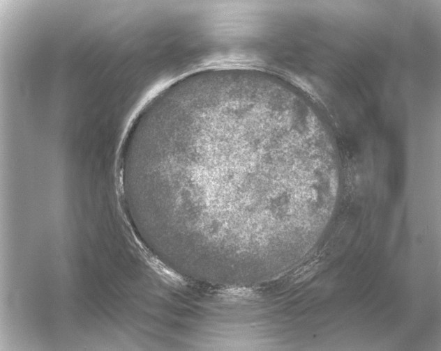 X0000055991462200509162239