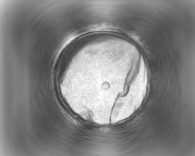 X0000055991463200509162239