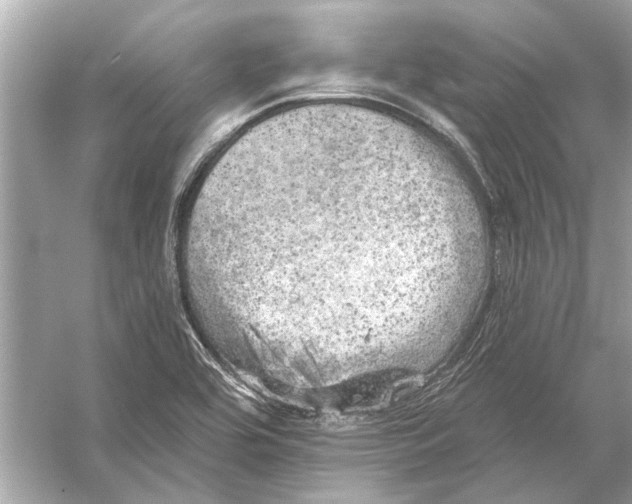 X0000055991464200509162239