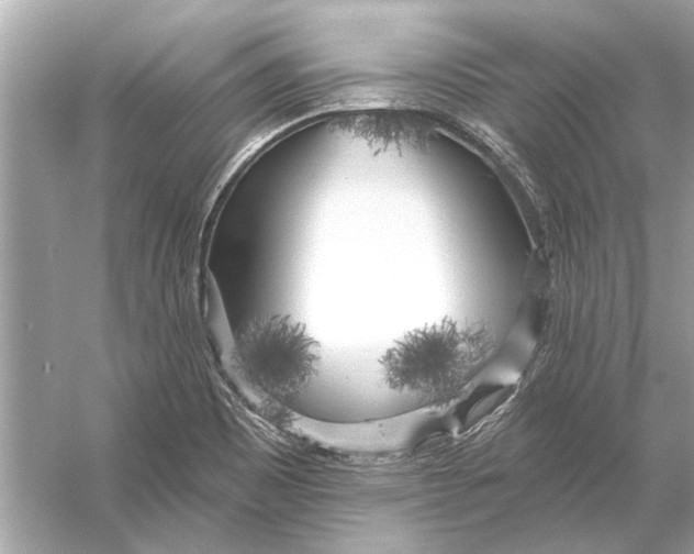 X0000055991465200509162239