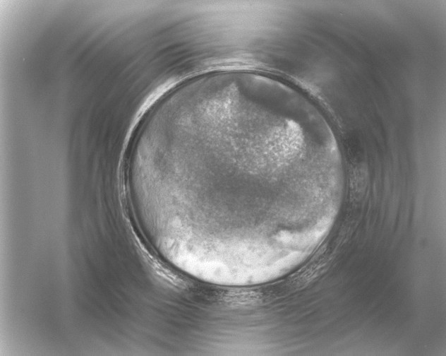 X0000055991466200509162239