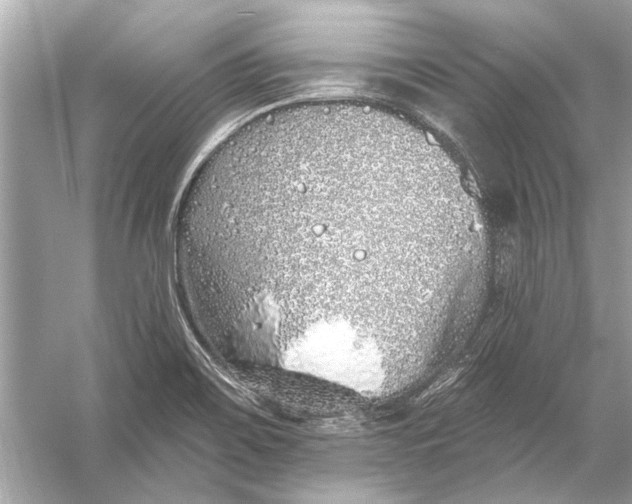 X0000055991467200509162239