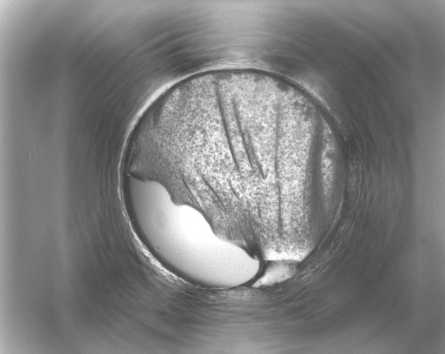 X0000055991468200509162239