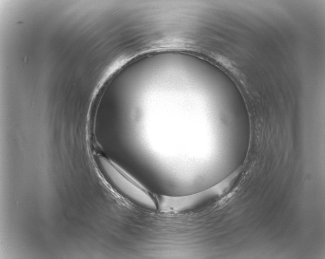 X0000055991469200509162239