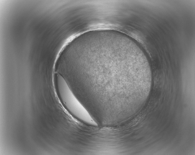 X0000055991472200509162239