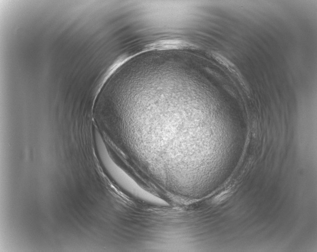 X0000055991473200509162239