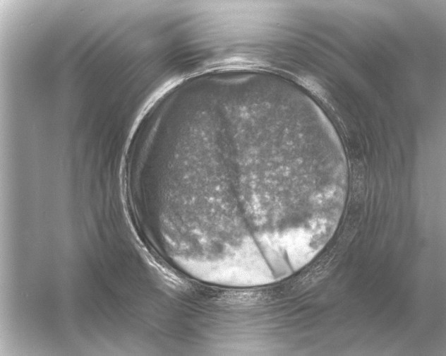 X0000055991474200509162239