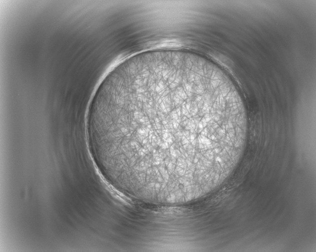 X0000055991475200509162238