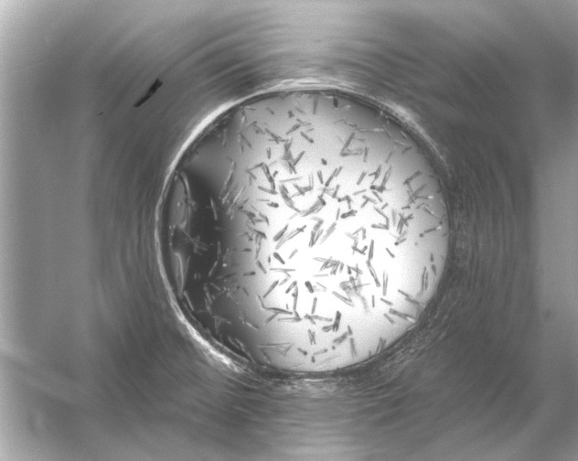 X0000055991476200509162238