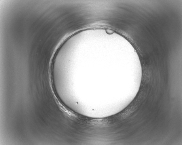 X0000055991478200509162238