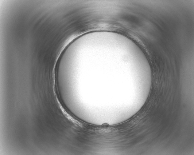 X0000055991479200509162238