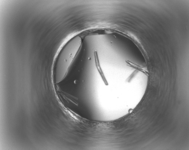 X0000055991480200509162238