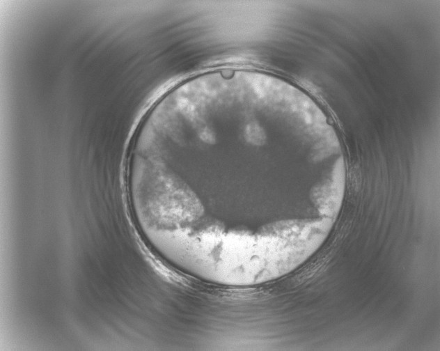 X0000055991482200509162238