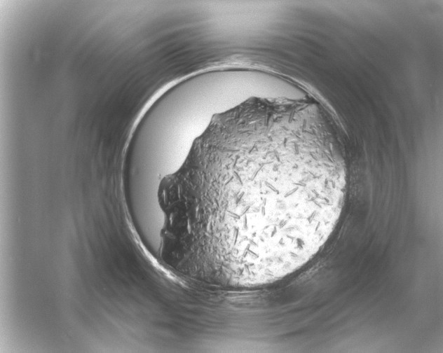 X0000055991484200509162238