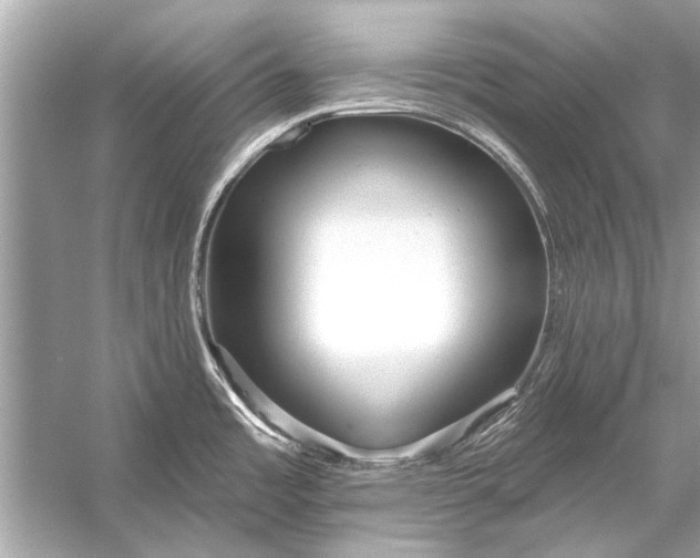 X0000055991485200509162238